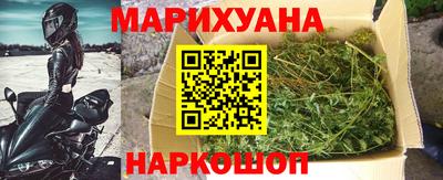 гидра Краснознаменск