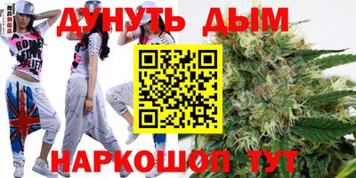 гидра Краснознаменск